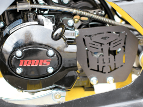 Квадроцикл IRBIS ATV 125