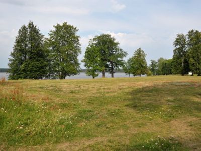 Комплекс фруктового сада