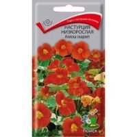 Настурция низкорослая Аляска скарлет