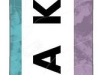 Сноуборд DRAKE DF TEAM 22/23