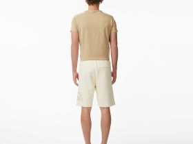 Мужские хлопковые шорты Lacoste