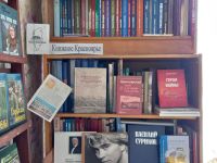 Долгомостовская взрослая сельская библиотека, филиал № 9