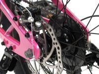 Детский велосипед Falcon Bike Mild 20, год 2024, цвет Серый