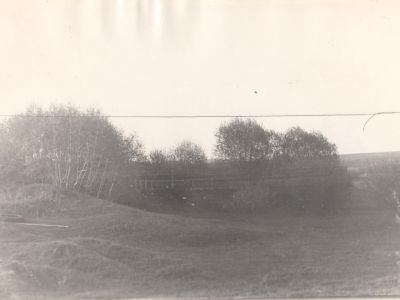 Братская могила жителей деревни, расстрелянных гитлеровцами в 1941 г.