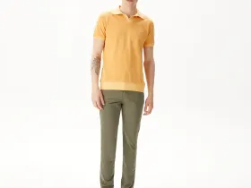 Мужское хлопковое поло Lacoste стандартного кроя