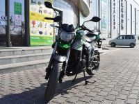 Мотоцикл REGULMOTO T-Leopard 300