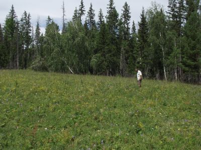 Колькин барьса