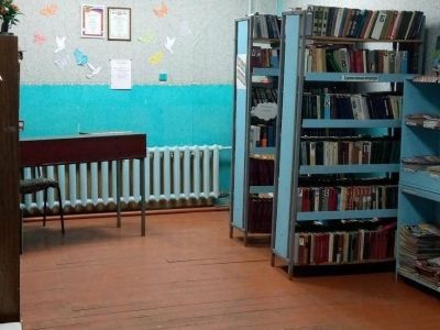 Новотроицкая поселенческая библиотека