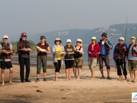 "Золотые Скалы реки Синяя". Синские, Ленские Столбы