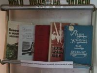 Хамышкинская сельская библиотека