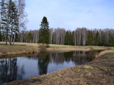 Пруд Нижний Круглозальный