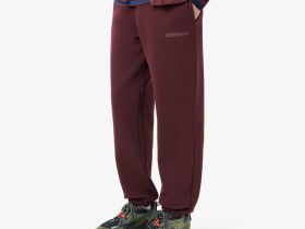 Мужские спортивные брюки Lacoste