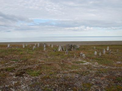 Поселение "Тыфляк"