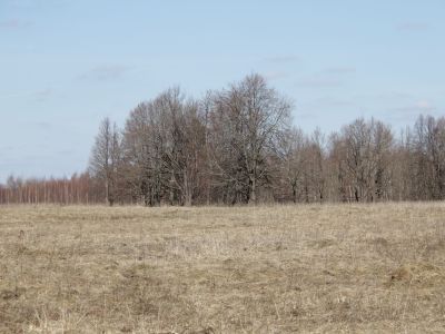 Усадебный парк