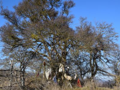 Святилище "Рирси пир"