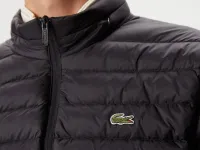 Мужская стеганая куртка Lacoste