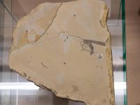 Музей пермских древностей