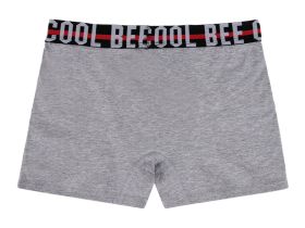 Трусы - боксеры, 3 шт. в комплекте для мальчика