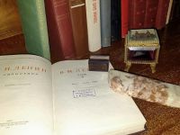 Музей И. Д. Василенко