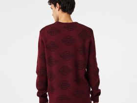 Мужской свитер Lacoste стандартного кроя