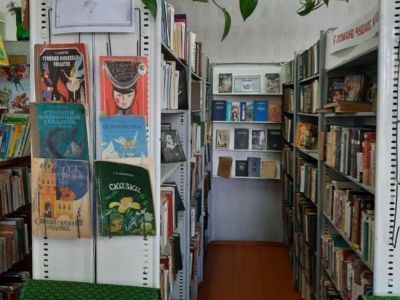 Рябинковская сельская библиотека