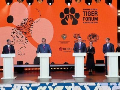 Во Владивостоке состоялась церемония гашения марки ко II Международному форуму по сохранению тигра