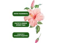 Набор для выращивания растений "Вырасти, Дерево!", "Сирийская роза"