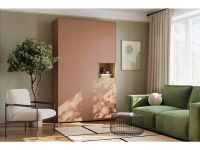 Распашной шкаф Висмар 3-153x240 Терракотовый