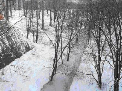 Овраг между крест-каналом и бассейном с кюветом (незаконченная часть канала)