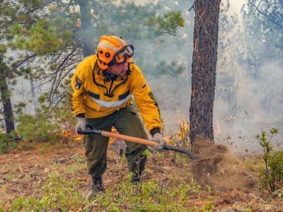 Внимание: нужны добровольцы на тушение лесных пожаров