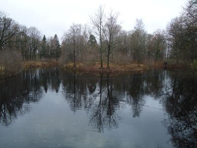 Пруд Верхний Первый (Большой Егерский)