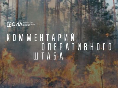 За последние сутки новых лесных пожаров в Якутии не обнаружили