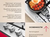 Газовая панель Hansa BHGI610391