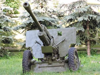 Братская могила борцов за Советскую власть, погибших в 1919 г. в борьбе с белогвардейцами