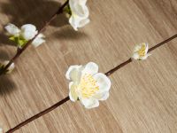 Ветвь Счастливой Пасхи/Buona Pasqua II