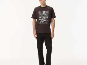 Мужские брюки Lacoste из хлопка