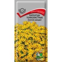 Бархатцы тонколистные Золотой самоцвет