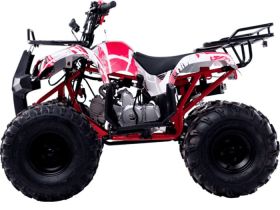 Квадроцикл WELS Thunder 125 Basic