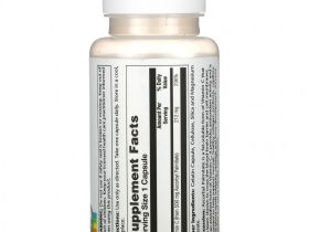 Solaray, аскорбил пальмитат, жирорастворимый, 500 мг, 60 капсул