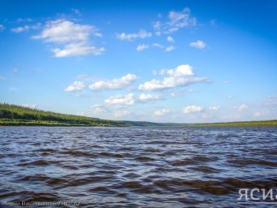 Мужчина утонул в Ленском районе