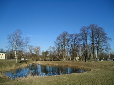 Пруд у Конюшенного корпуса