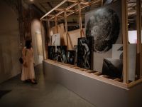 Центр современной культуры «Смена»