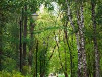 Сад имени В. Л. Миндовского