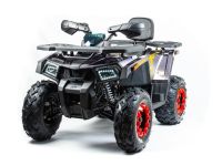 Квадроцикл MOTOLAND 200 Wild Track X Pro (2022)