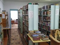 Подтесовская библиотека, филиал № 25