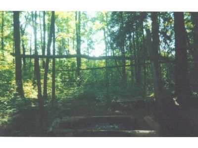 Священная роща