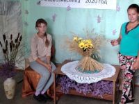 Нововознесенский сельский дом культуры