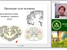Международный вебинар "Двигательная активность и здоровье современного человека: характеристика основных оздоровительных упражнений"