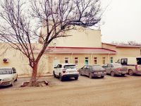 Калмыцкий государственный театр кукол «Джангар»