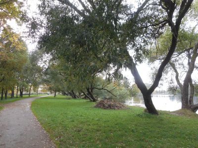 Парк Колонистский